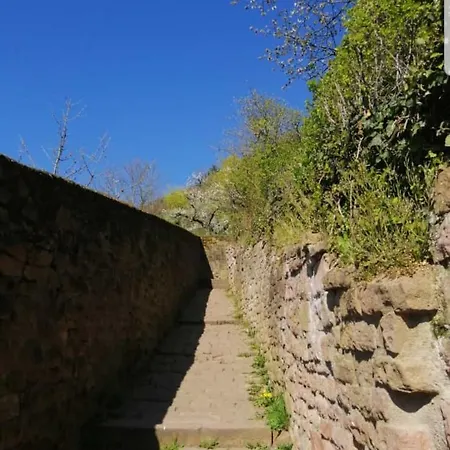 Apartamento Tinas Beauty *